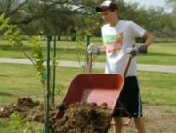 Praca Niemcy fizyczna dla Polaków w ogrodnictwie Freising 2014