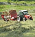 Dam fizyczną pracę w Norwegii w gospodarstwie bez języka Oppaland Dam fizyczną pracę w Norwegii w gospodarstwie bez języka Oppaland