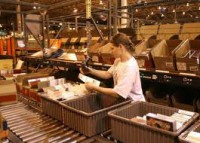 Oferta wakacyjnej pracy w Holandii dla grup bez języka przy pakowaniu Oss