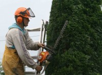 Dam fizyczną pracę w Norwegii bez znajomości języka Drammen