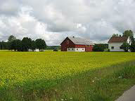 Dam fizyczną pracę w Szwecji na farmie bez znajomości języka Vaxjo Dam fizyczną pracę w Szwecji na farmie bez znajomości języka Vaxjo