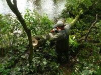 Sezonowa praca w Niemczech w leśnictwie przy ścinaniu drzewek Erfurt Sezonowa praca w Niemczech w leśnictwie przy ścinaniu drzewek Erfurt