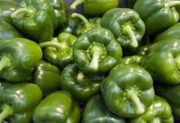 Dam sezonową pracę w Holandii przy zbiorach warzyw-papryki Eindhoven