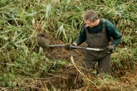 Dam fizyczną pracę w Norwegii przy melioracji bez znajomości języka Drammen