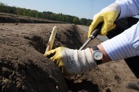 Niemcy praca sezonowa bez języka zbiory szparagów od zaraz Fellbach