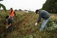 Fizyczna praca Norwegia bez języka od kwietnia 2018 przy melioracji Drammen