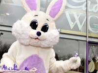 Bez języka fizyczna praca Niemcy od zaraz jako żywa maskotka w Bremen 2017