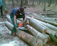 Leśnictwo praca w Danii od sierpnia drwal bez znajomości języka Maribo