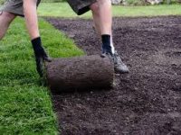 Bez znajomości języka Szwecja praca fizyczna 2017 od zaraz Sztokholm zakładanie ogrodów