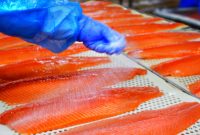 Ogłoszenie fizycznej pracy w Danii od zaraz przy filetowaniu ryb bez języka Glostrup