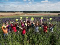Anglia praca sezonowa w ogrodnictwie przy kwiatach bez języka na farmie od zaraz, Shropshire