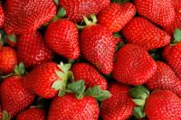 Holandia praca dla par od zaraz na produkcji przy krojeniu truskawek, Venlo 2018