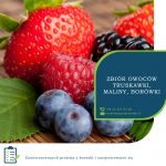 Praca w Anglii przy zbiorach owoców – malin, borówki, truskawek Colchester UK