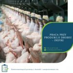 Bez znajomości języka praca w Anglii od zaraz przy produkcji drobiu – indyki, Norfolk 2019
