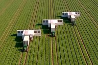 Sezonowa praca Niemcy od marca 2020 bez języka przy zbiorach warzyw, Cappeln Sezonowa praca Niemcy od marca 2020 bez języka przy zbiorach warzyw, Cappeln