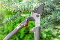 Leśnictwo bez znajomości języka sezonowa praca w Szwecji od zaraz Helsingborg 2020