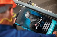 Oferta pracy w Holandii na produkcji karmy dla zwierząt od zaraz, Beringe 2020