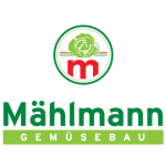 Sezonowa praca w Niemczech od zaraz – zbiór warzyw, pakowanie, sortowanie w Cappeln