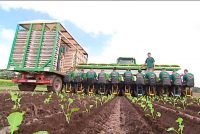 Sezonowa praca w Niemczech przy sadzeniu i zbiorach warzyw w Cappeln od kwietnia 2021 Sezonowa praca w Niemczech przy sadzeniu i zbiorach warzyw w Cappeln od kwietnia 2021