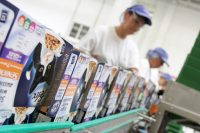 Praca Holandia na produkcji karmy dla zwierząt od zaraz, Beringe 2021