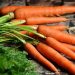 carrots-2387394_640