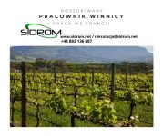 Sezonowa praca we Francji od zaraz pracownik winnicy przy pielęgnacji roślin, Dijon 2021