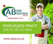 Dam fizyczną pracę w Holandii od zaraz sortowanie cebulek kwiatowych, Rijsenhout Dam fizyczną pracę w Holandii od zaraz sortowanie cebulek kwiatowych, Rijsenhout