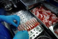 Fizyczna praca w Holandii od zaraz sortowanie frutti Di Mare, Amsterdam