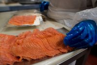 Dania praca na produkcji przy rybach – filetowanie od zaraz, Hanstholm (Jutlandia Północna) Dania praca na produkcji przy rybach – filetowanie od zaraz, Hanstholm (Jutlandia Północna)