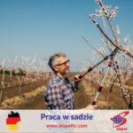Niemcy praca fizyczna w sadzie od zaraz, Düsseldorf 2022