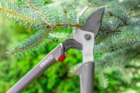 Oferta sezonowej pracy w Szwecji bez znajomości języka leśnictwo od zaraz