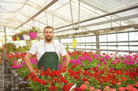 Ogrodnictwo Holandia praca bez języka przy kwiatach od zaraz, Eindhoven