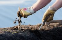 Zbiory szparagów dam pracę w Niemczech bez znajomości języka kwiecień 2025 w Hamburgu