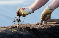 Od zaraz praca sezonowa w Austrii przy zbiorach szparagów bez języka, Graz 2025