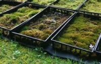 Zbiory mchu oferta sezonowej pracy w Islandii od zaraz bez języka, Akureyri