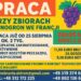 Praca we Francji_winobranie