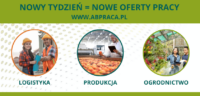Oferta pracy w Holandii od zaraz na magazynie sklepu internetowego w Gorinchem