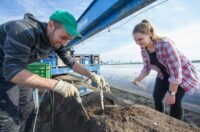 Od zaraz dam sezonową pracę w Holandii bez języka zbiory szparagów, Hunsel 2026